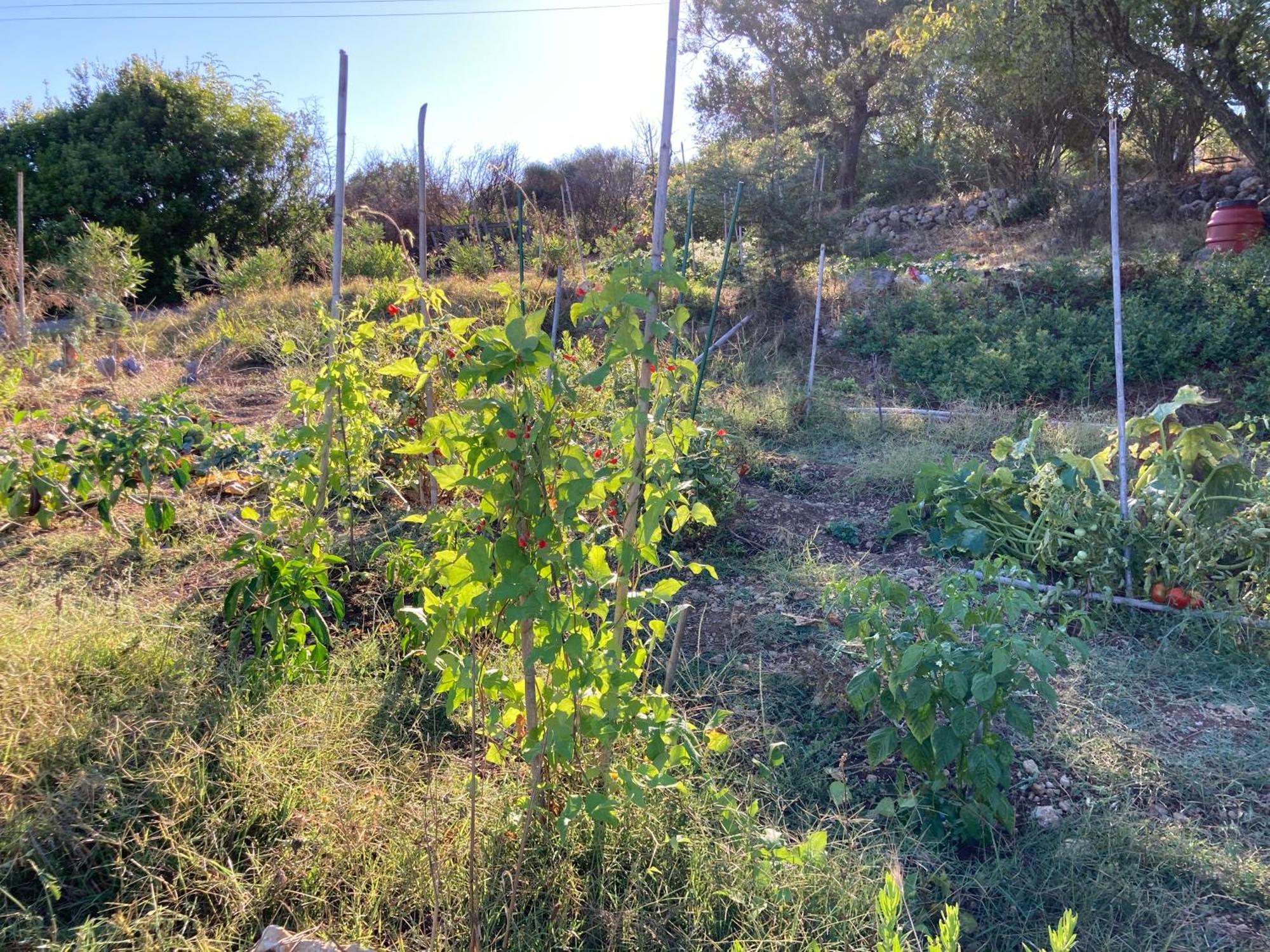 Appartamento Kokkini Peach House Kokkínion Esterno foto