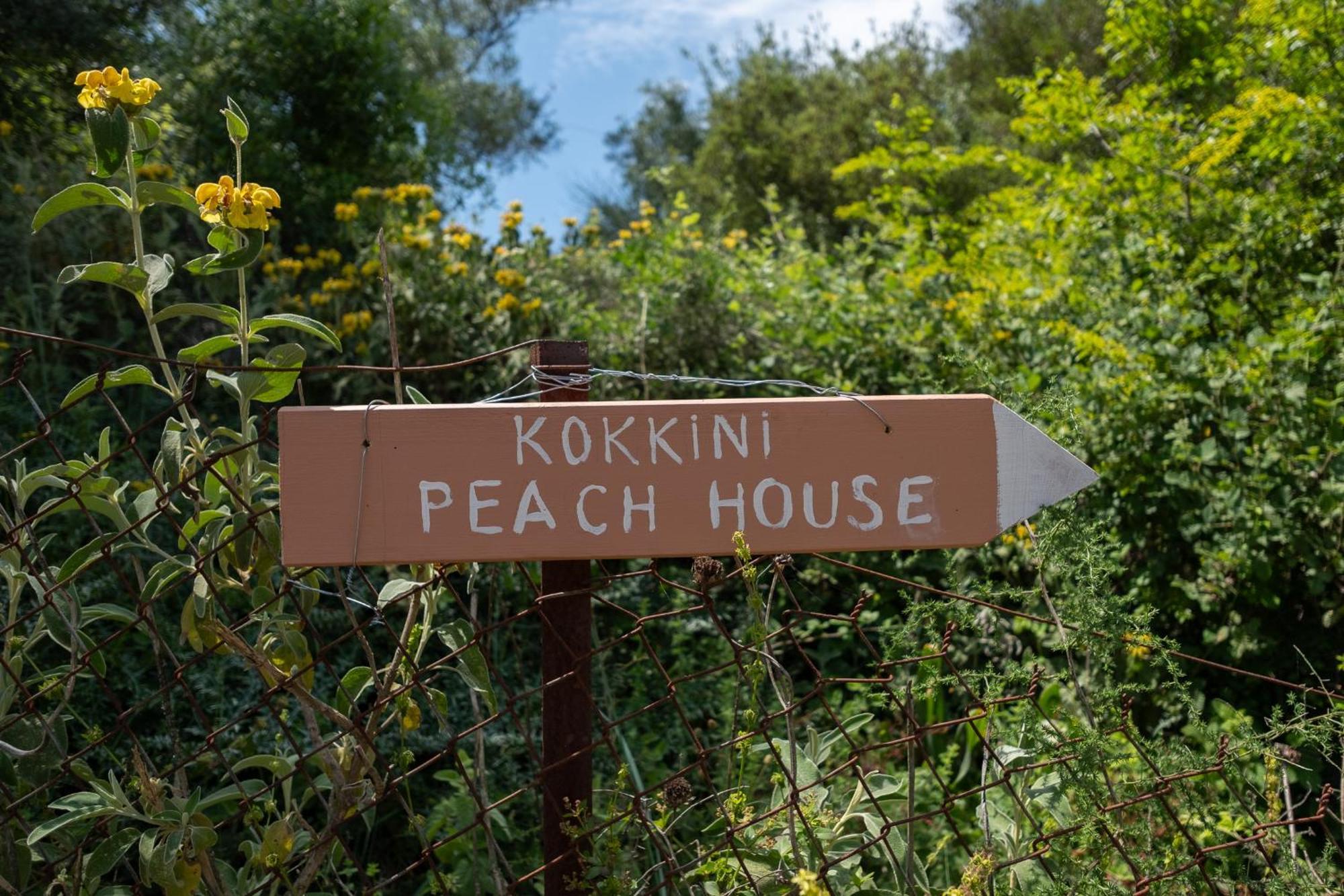 Appartamento Kokkini Peach House Kokkínion Esterno foto