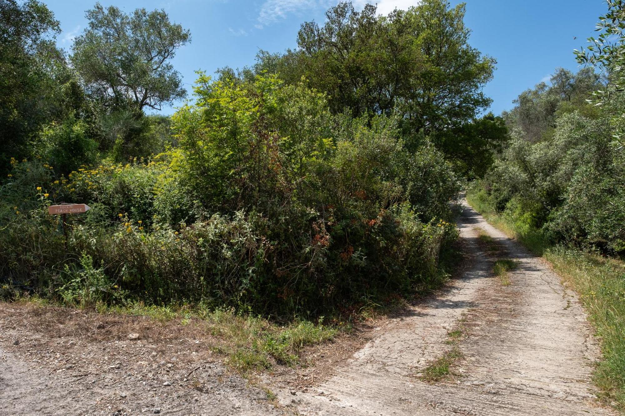 Appartamento Kokkini Peach House Kokkínion Esterno foto