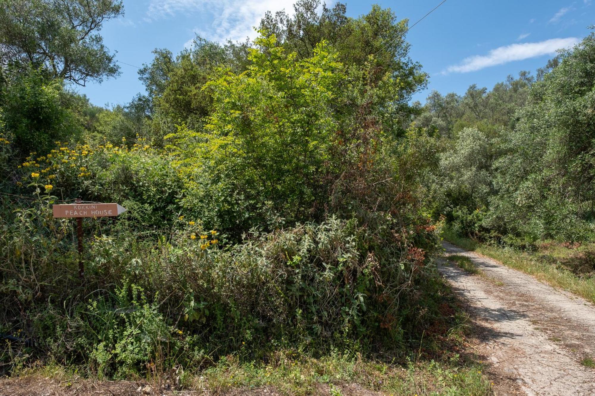 Appartamento Kokkini Peach House Kokkínion Esterno foto