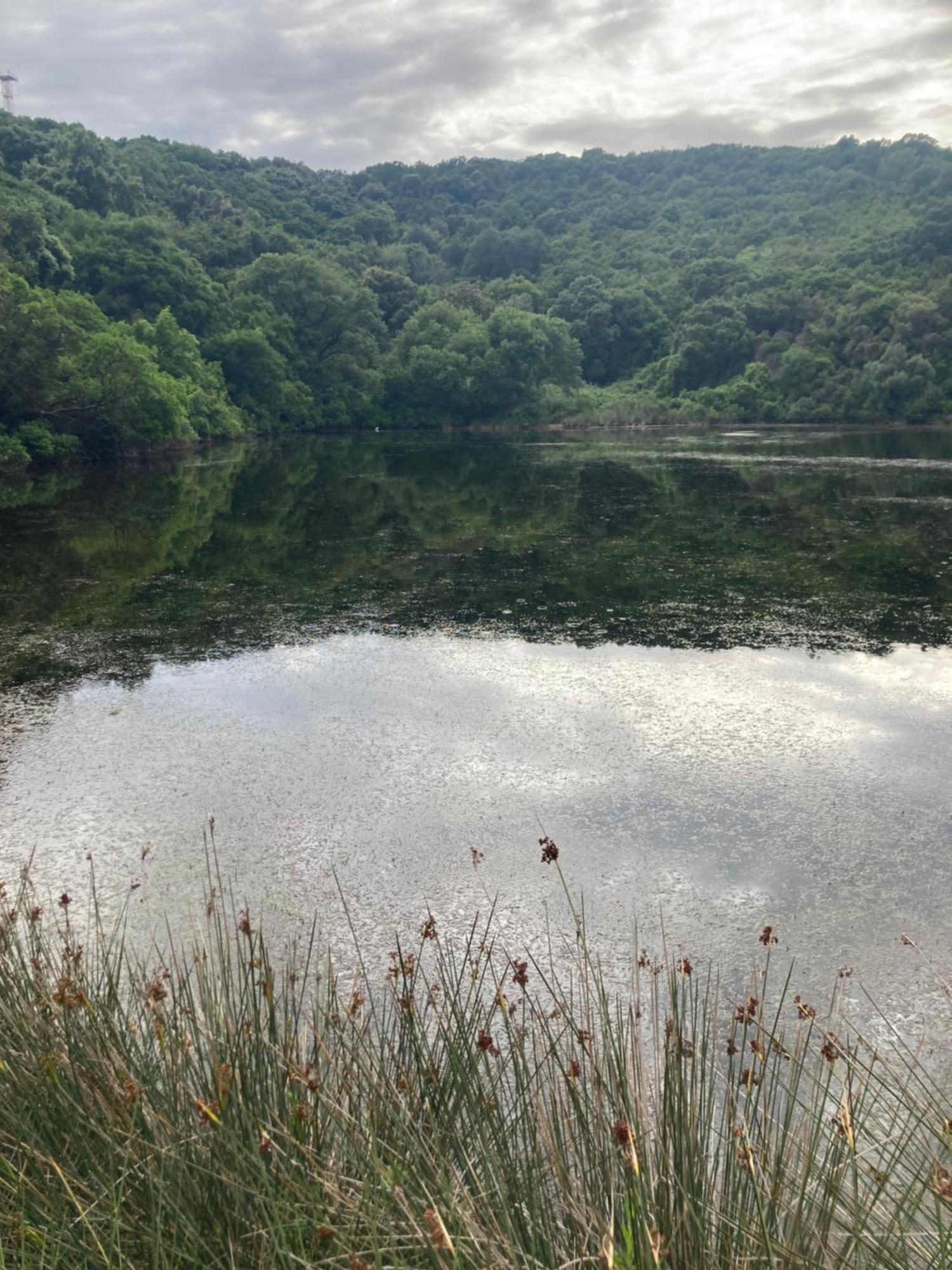 Appartamento Kokkini Peach House Kokkínion Esterno foto