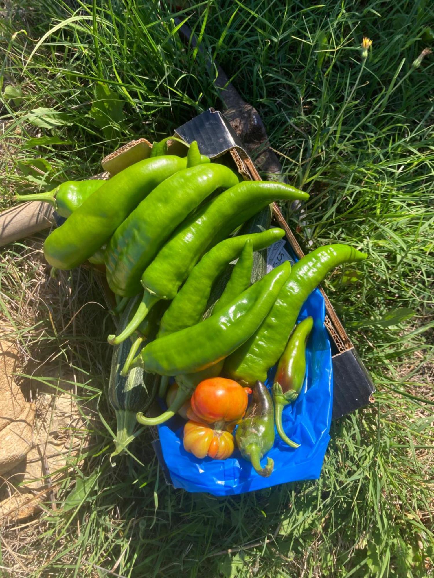 Appartamento Kokkini Peach House Kokkínion Esterno foto