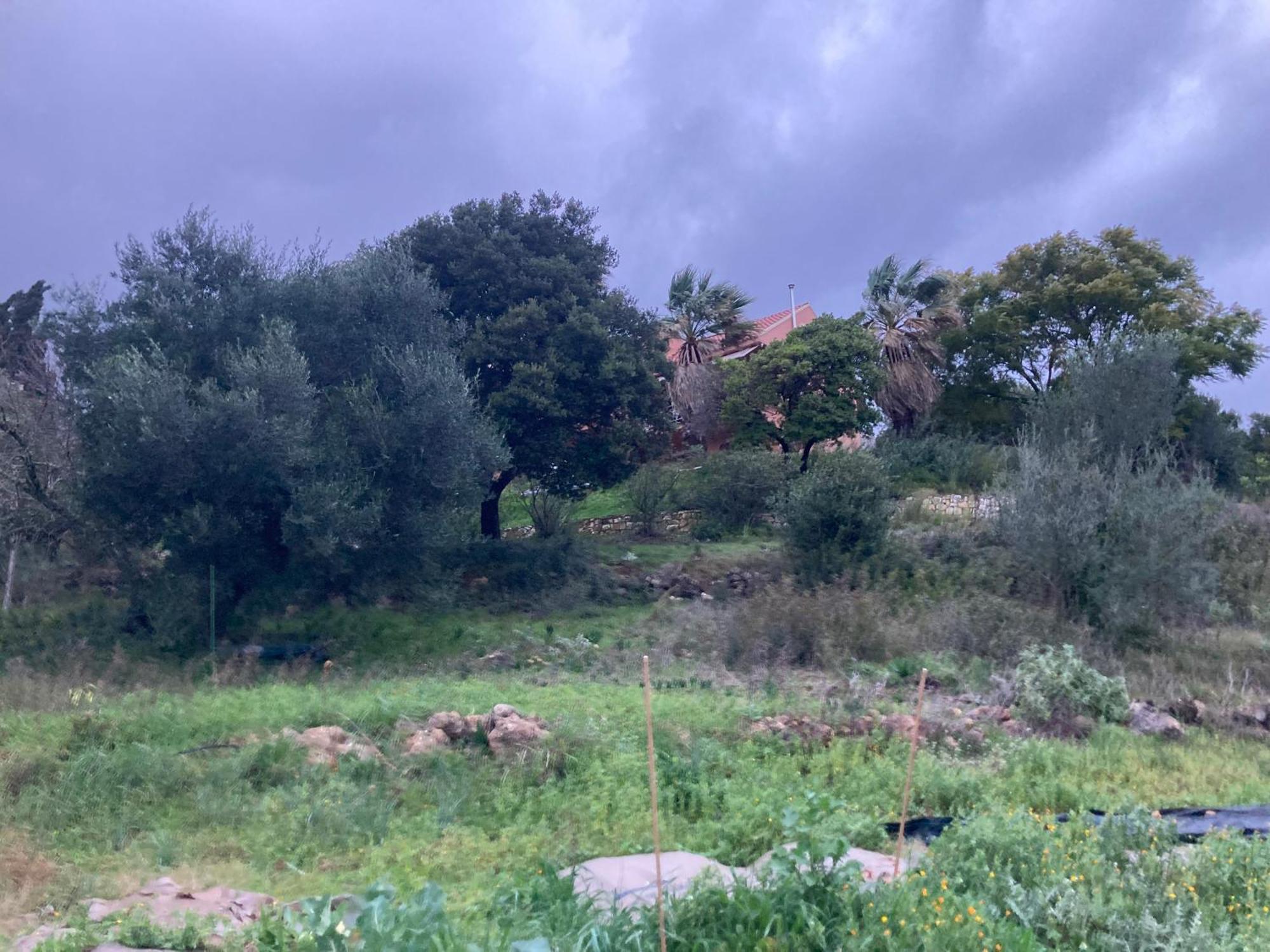 Appartamento Kokkini Peach House Kokkínion Esterno foto