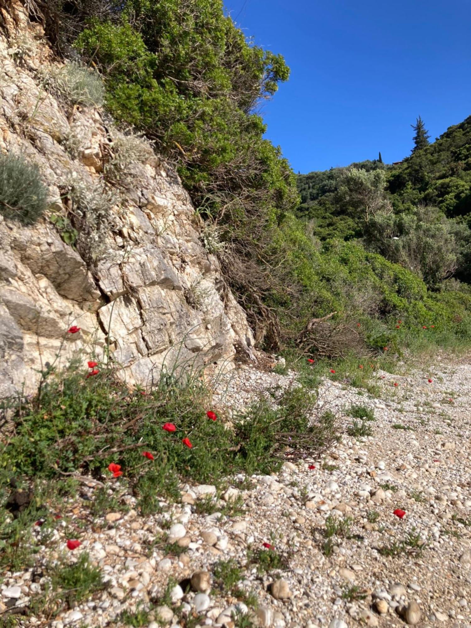 Appartamento Kokkini Peach House Kokkínion Esterno foto
