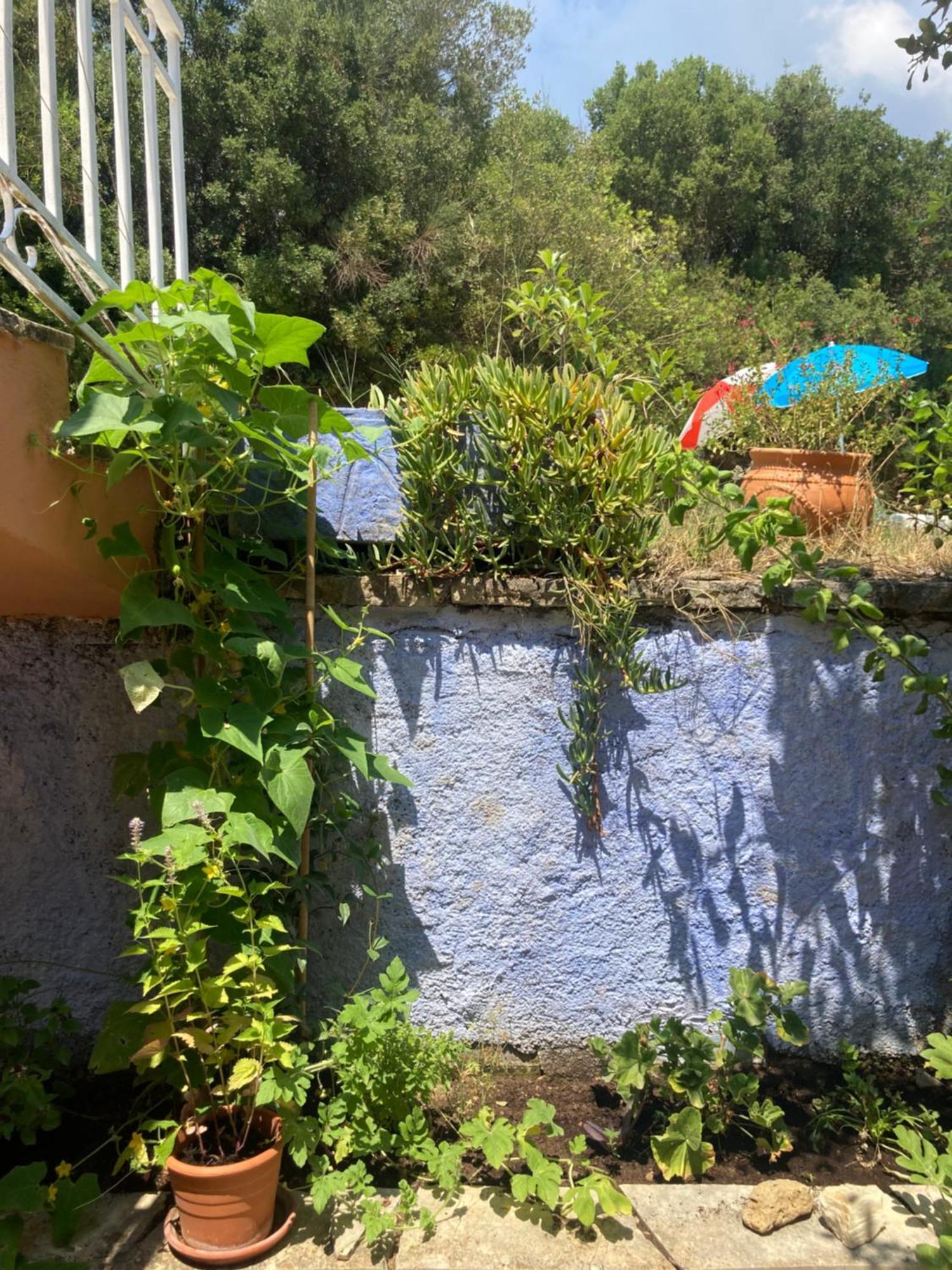 Appartamento Kokkini Peach House Kokkínion Esterno foto