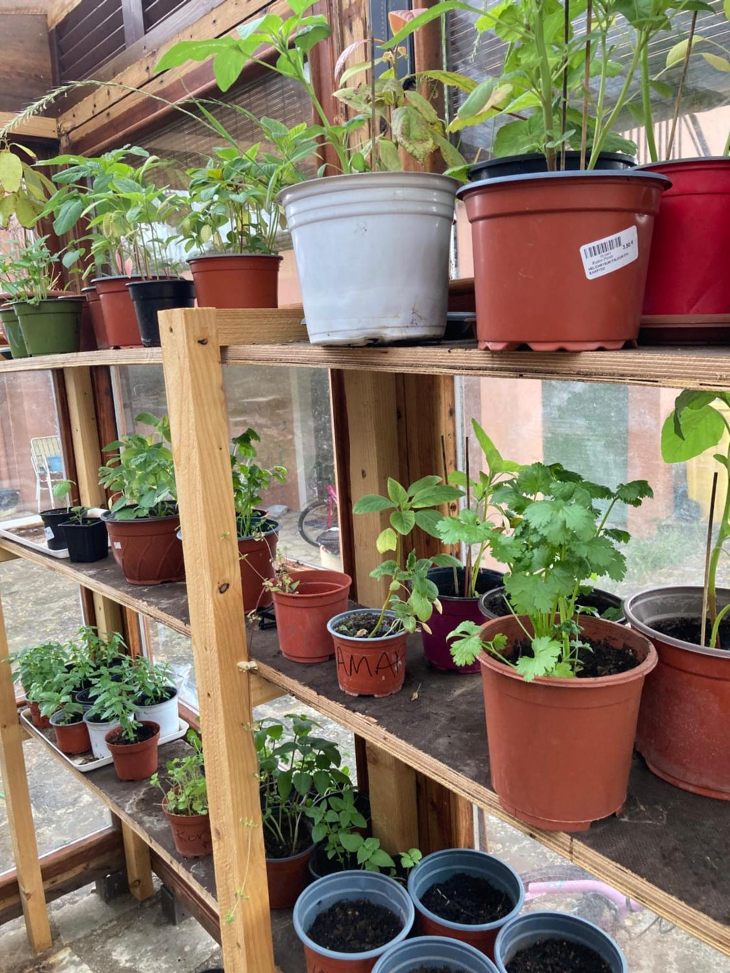Appartamento Kokkini Peach House Kokkínion Esterno foto